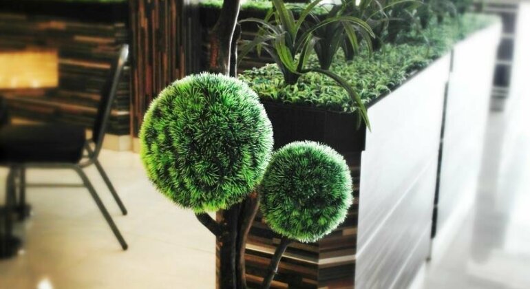 Galaxy Hotel Tarakan - Photo4