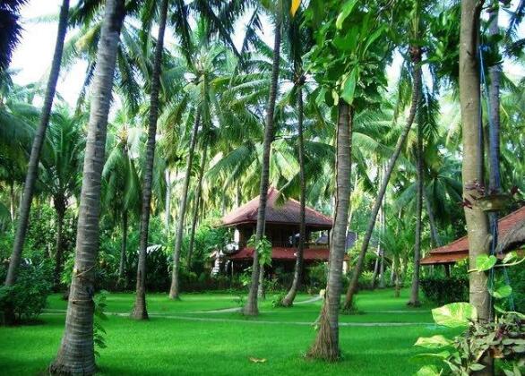Bali Mandala Resort - Photo2