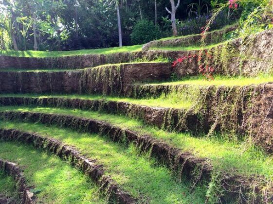 Sing Sing Resort Lovina - Photo3