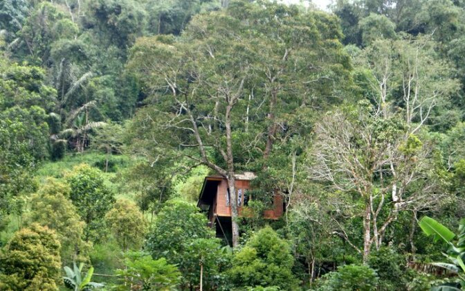 Candlenut Treehouse - Photo2
