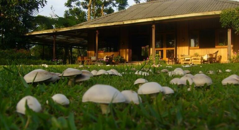 Gardenia Country Inn - Photo2
