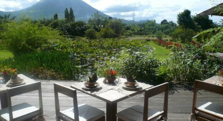 Gardenia Country Inn - Photo5