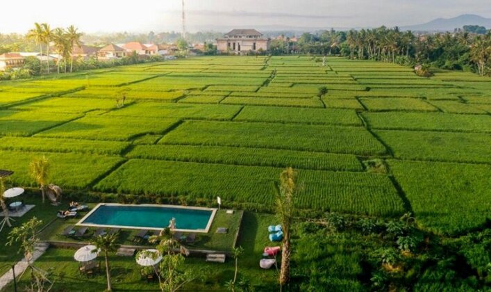 Adil Villa & Resort - Photo2