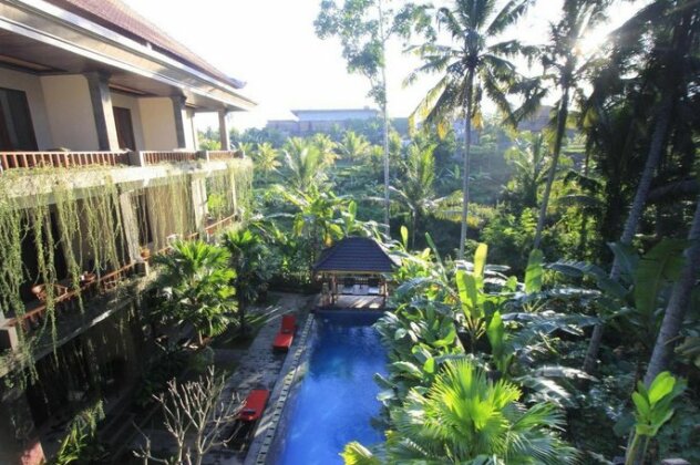 Alam Terrace Cottages - Photo4
