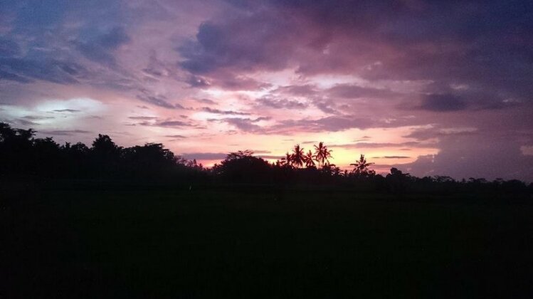 Anita's Ubud Villa - Photo3
