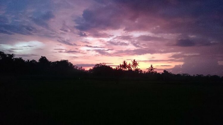 Anita's Ubud Villa - Photo3