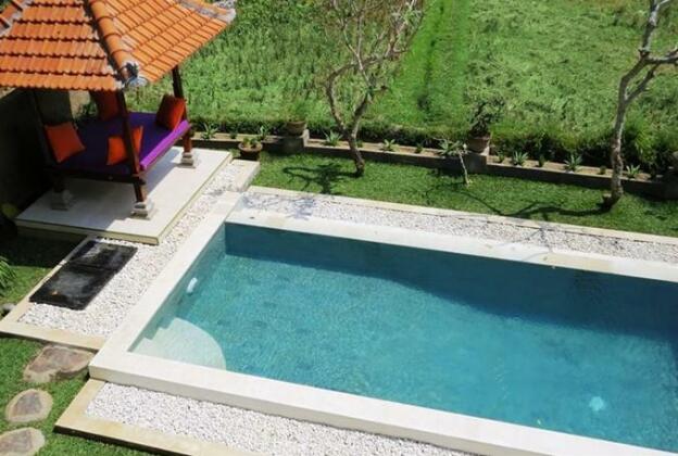 Blue Cat Villa - Photo4