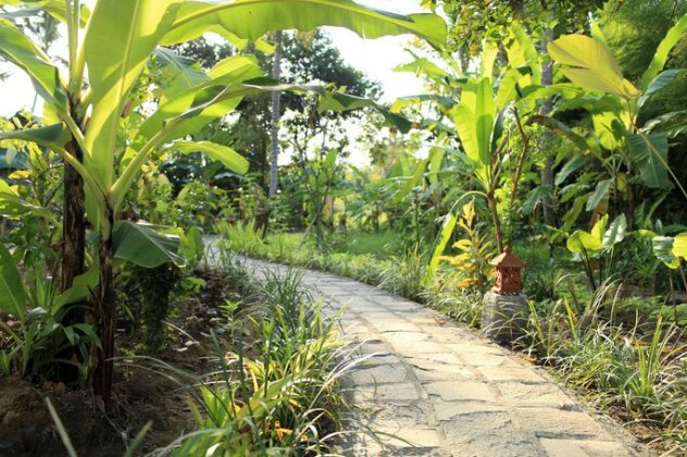 Homestay - Ubad Retreat Ubud - Photo4