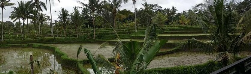 Kartika's House - Photo5