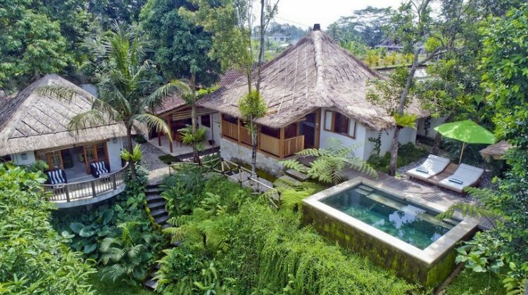 Mambo Villa - Ubud - Photo2