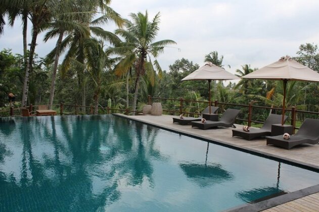 Manyi Village Ubud - Photo2