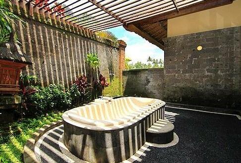 Natura Villa Ubud Bali - Photo5