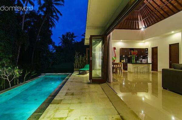 New Villa Private Pool In Ubud - Photo2