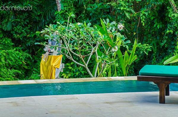 New Villa Private Pool In Ubud - Photo5