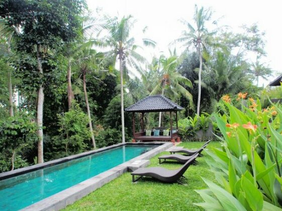 Rumanero Villa - Photo5