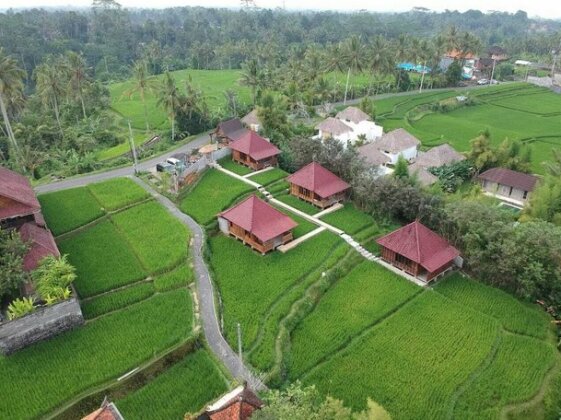 Ubud Sawah Villa Cinery and Homestay - Photo2