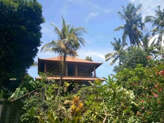 Ubud Terrace - Photo2