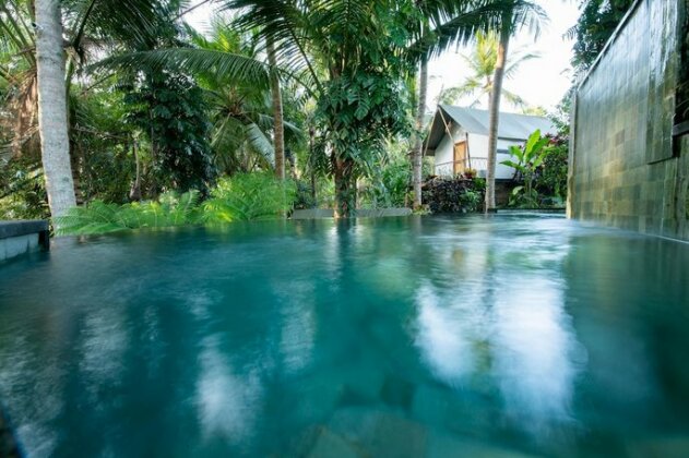Ubud Tropical - Photo2