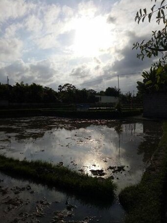 Villa Esa Ubud - Photo2