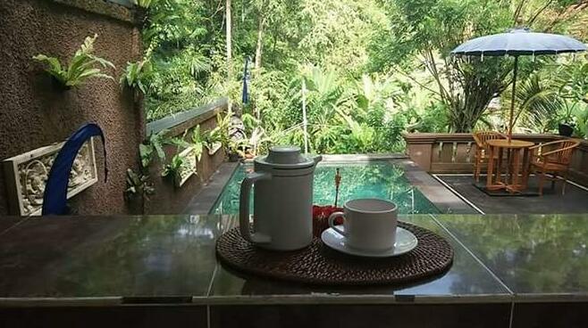 Villa in Ubud 3bedroom private pool - Photo2