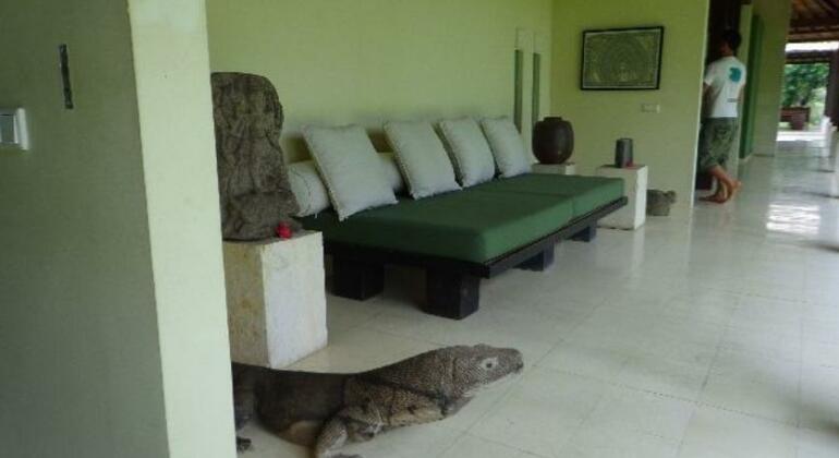 Villa Naga Ubud - Photo5