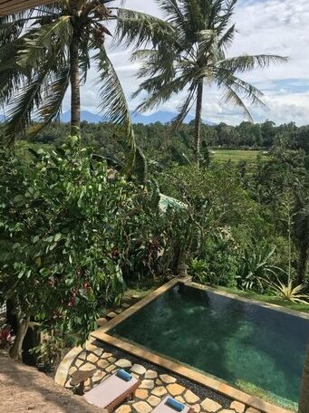 Villa Ria Sayan - Photo2