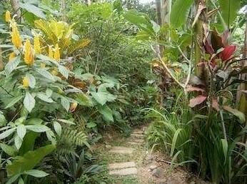 Waterfall Room at Rumah Jepun - Photo5