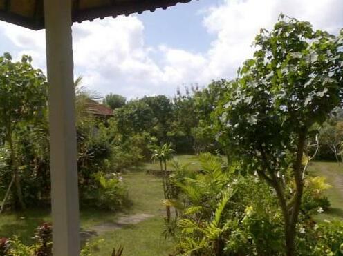 Bingin Sari Homestay - Photo2