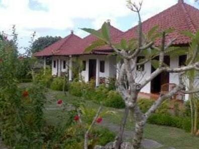 Bingin Sari Homestay - Photo3