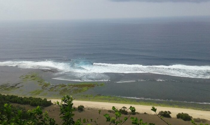 Homestay - Gecko Home-stay Uluwatu - Photo2
