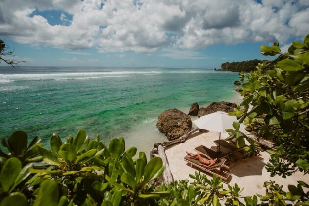 Rock'n Reef - Photo2