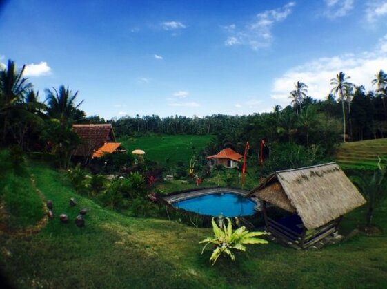 Bali Lush - Photo2