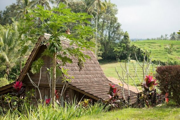 Bali Lush - Photo4