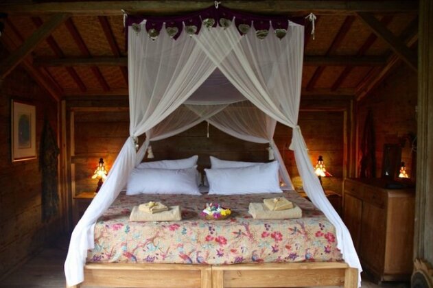 Bali Lush - Photo5