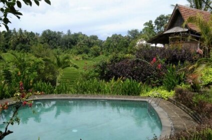 Bali Lush