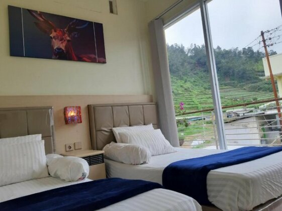 Homestay Dieng Cool - Photo2