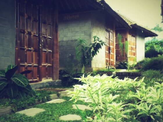 Pondok Bamboo Sendangsari - Photo3
