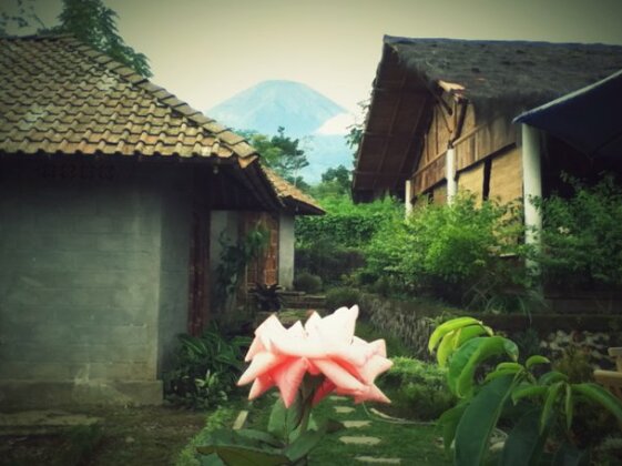 Pondok Bamboo Sendangsari - Photo4