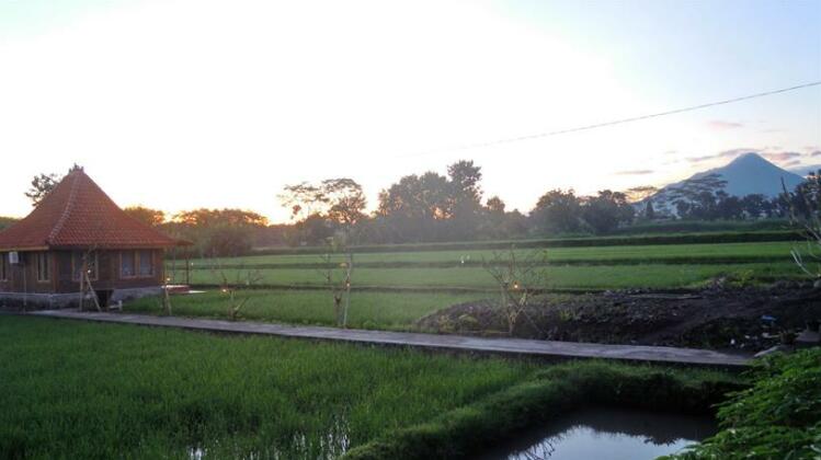 Alamanda Villa's Adventure & Pool - Photo5