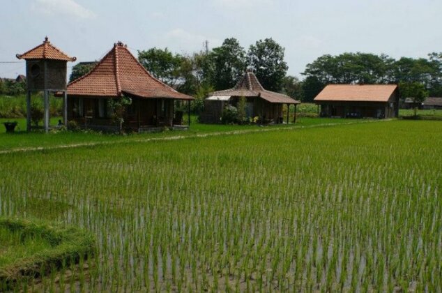 Homestay - we love to show you Yogyakarta - Photo2