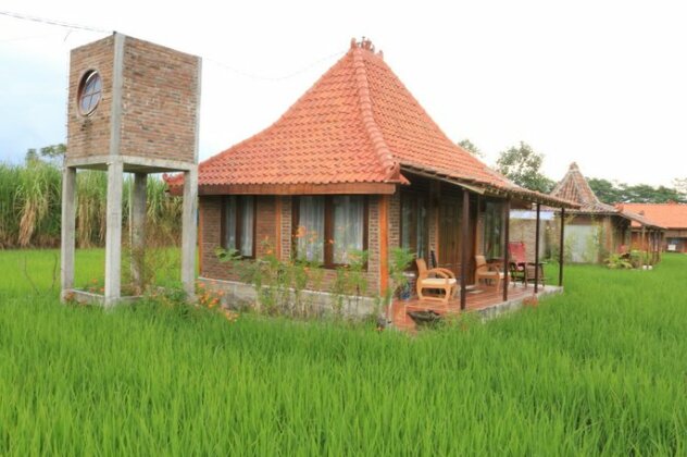 Homestay - we love to show you Yogyakarta - Photo4