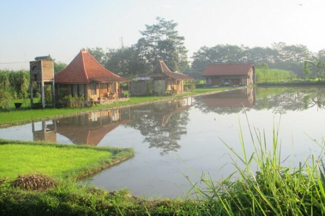 Homestay - we love to show you Yogyakarta - Photo5