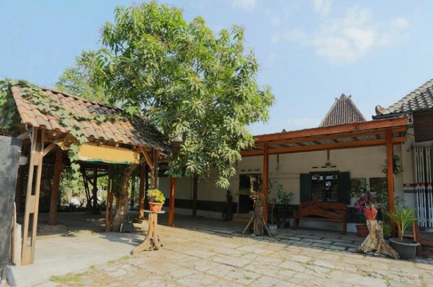 Photo 4