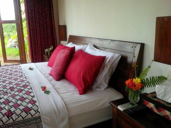 Rosella Cottage Yogyakarta - Photo3
