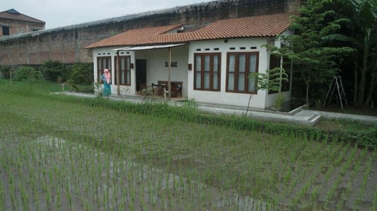 Rosella Cottage Yogyakarta - Photo5