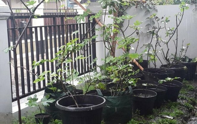 Rumah Tin - Photo5