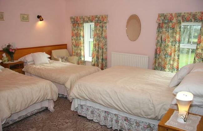 Corrib View Farm Country Bed and Breakfast - Photo3