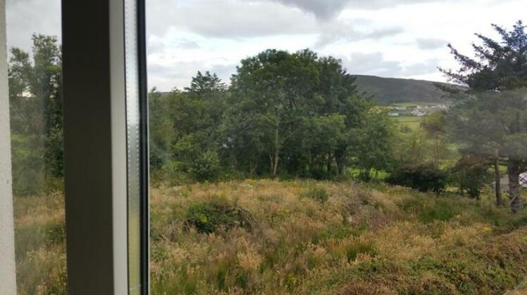 Cosy Shed Cashelgragan - Photo4