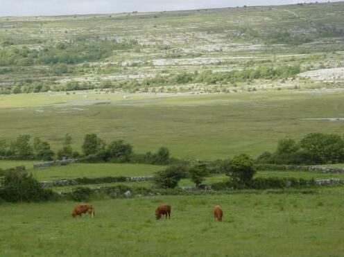The Burren National Park Hostel - Clare's Rock Accommodation - Photo5