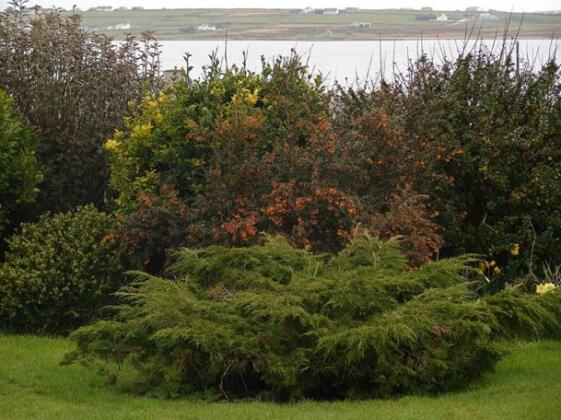 Drom Caoin Bed & Breakfast Belmullet - Photo3